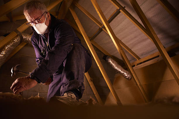 Best Insulation Maintenance and Repair in Clyde Hill, WA